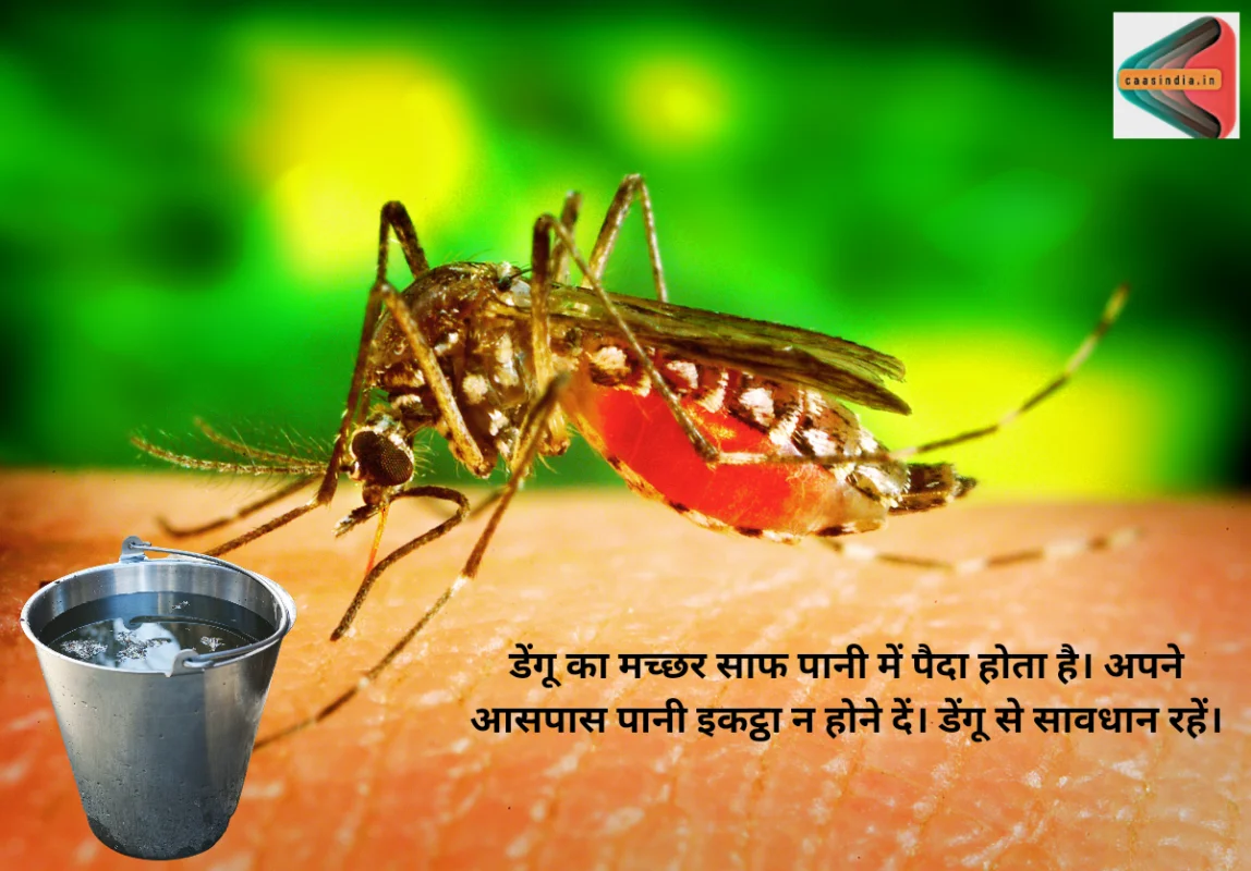 Dengue Case in Delhi 2023