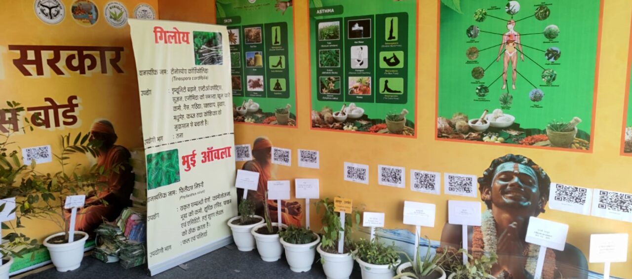 Health facilities in Mahakumbh 2025 : 1.21 लाख लोगों को लिया निःशुल्क परामर्श और दवाएं 2 Health facilities in Maha Kumbh 2025 : 1.21 लाख लोगों को लिया निःशुल्क परामर्श और दवाएं